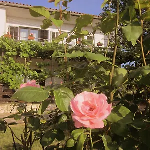 apartment-iva-rovinjsko-selo.in-istria.net/